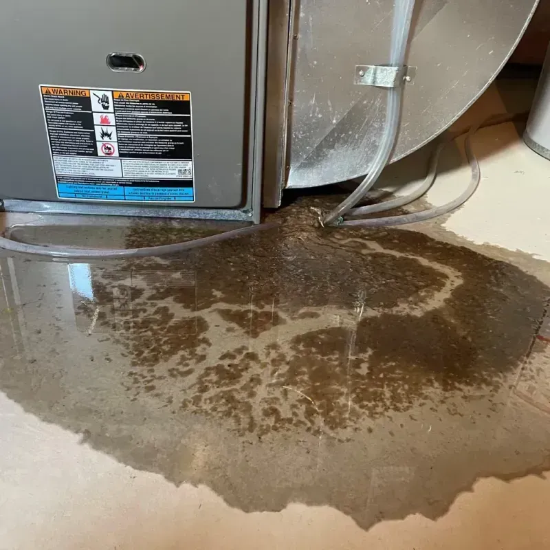 Appliance Leak Cleanup in Ontario County, NY